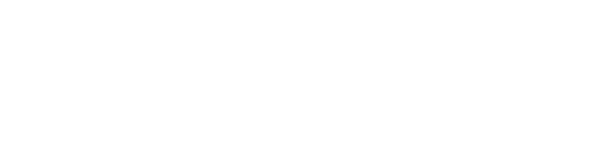 Emirates Insurance